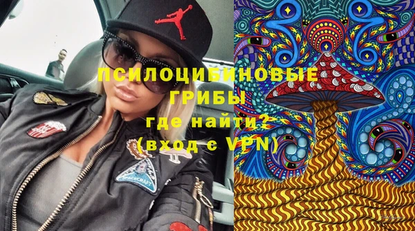крисы Горняк