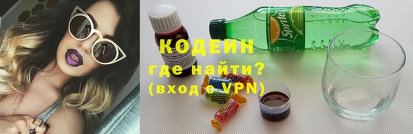 крисы Горняк