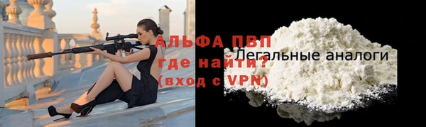 крисы Горняк