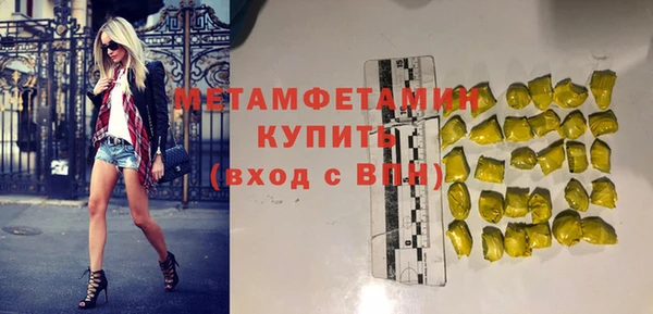 крисы Горняк