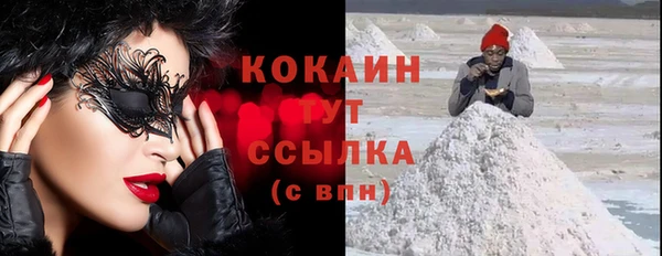 крисы Горняк