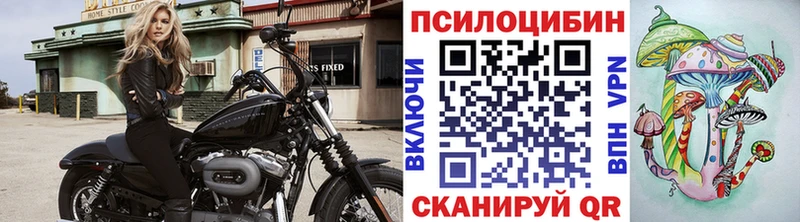 Галлюциногенные грибы Psilocybine cubensis  Купить  Лагань 